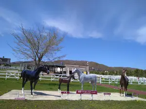 Omai Horse Park
