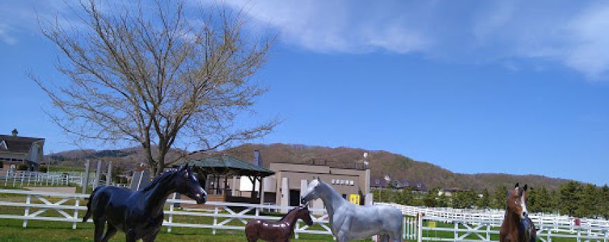 Omai Horse Park