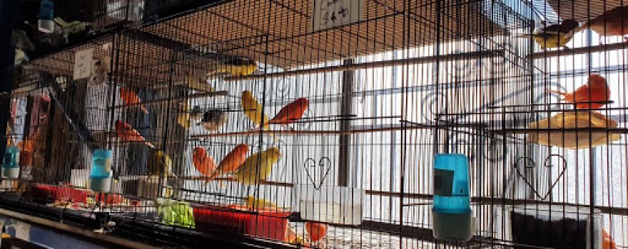 Enfield Produce: Pet & Garden Supplies