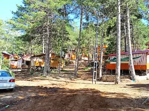 Olukbaş Plateau