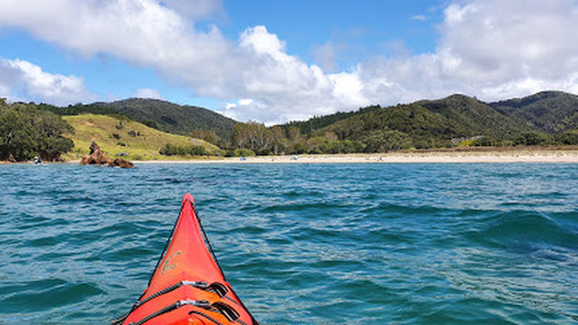 Waikawau Bay Camp grounds. D.O.C