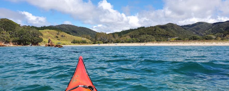 Waikawau Bay Camp grounds. D.O.C
