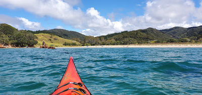 Waikawau Bay Camp grounds. D.O.C