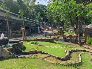 JUMJIM CAMP
