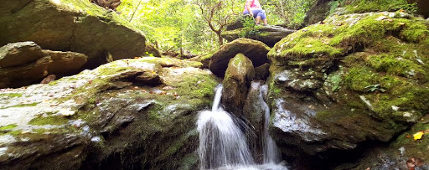 Kellys Run Nature Preserve
