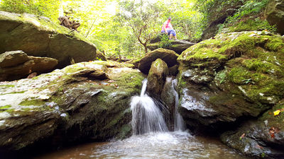 Kellys Run Nature Preserve