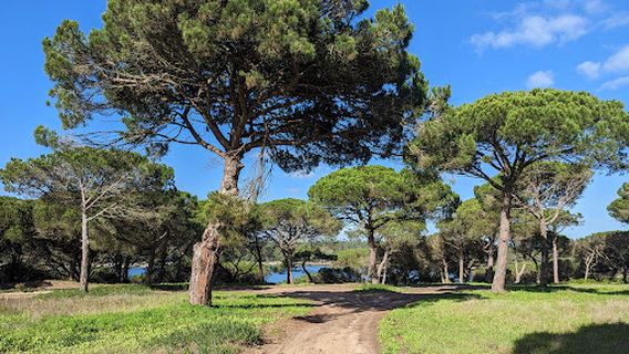Lagoa De Albufeira