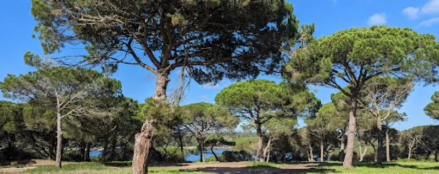 Lagoa De Albufeira