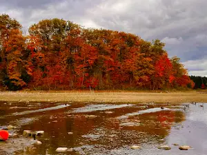 Kelso Lake