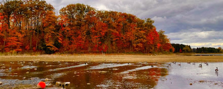 Kelso Lake