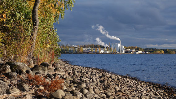 Природный заповедник «Пункахарью» (Punkaharju)
