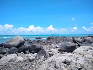 Pantai Pulau Tiga, Bio
