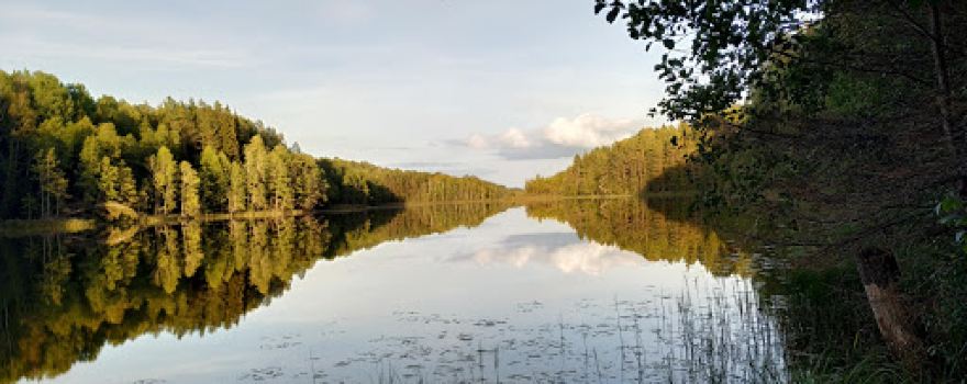 Mshinskoye boloto State Nature Reserve