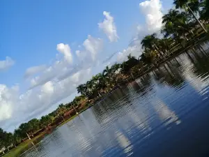 Parque Beija-Flor