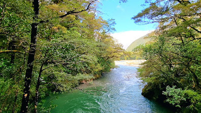Marble Hill Campsite