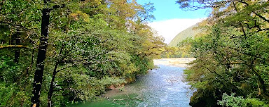 Marble Hill Campsite