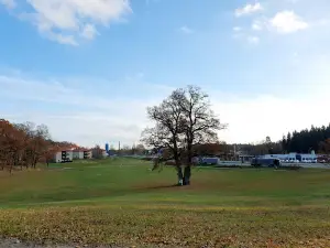 Vibjörnsparken