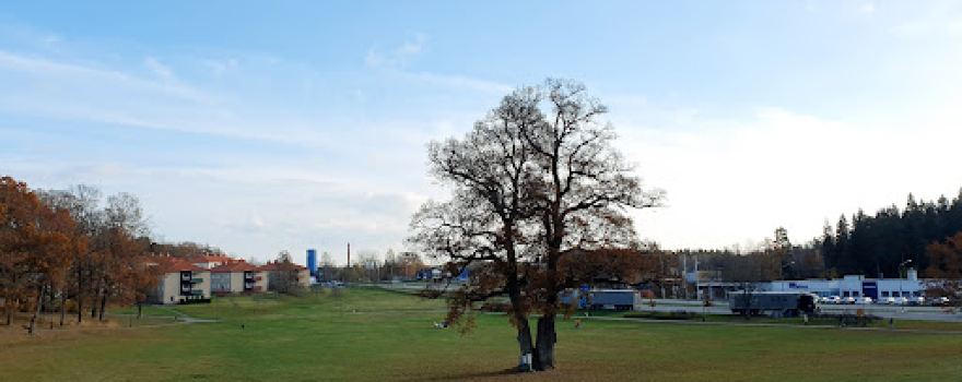 Vibjörnsparken