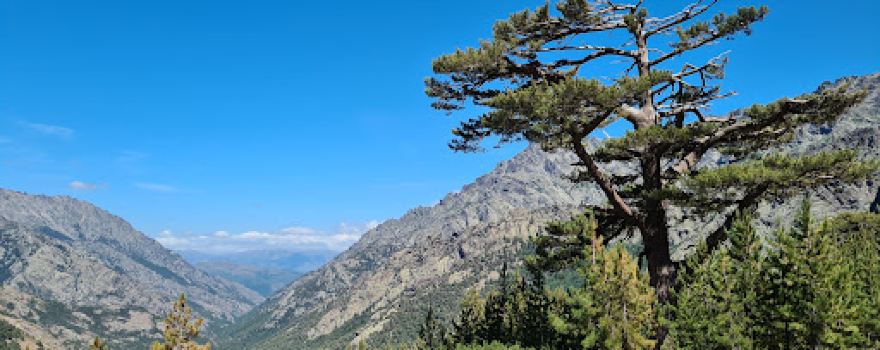 Camping Monte-Cinto