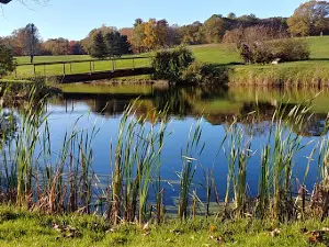 Raceway Golf Club