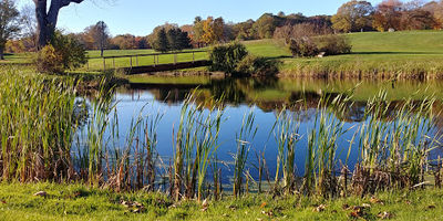 Raceway Golf Club