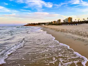 Playa de Mil Palmeras