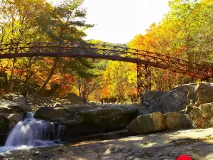 Muju Gucheondong Valley