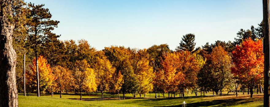 Calvary Hill Park