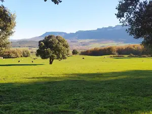 Equestrian Center El Valle de Mena.