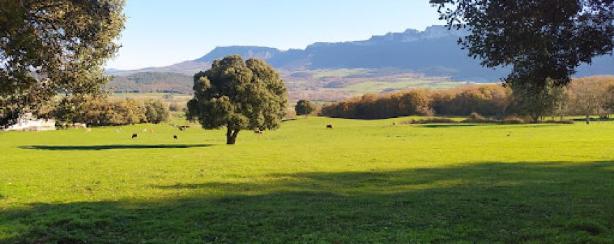 Equestrian Center El Valle de Mena.