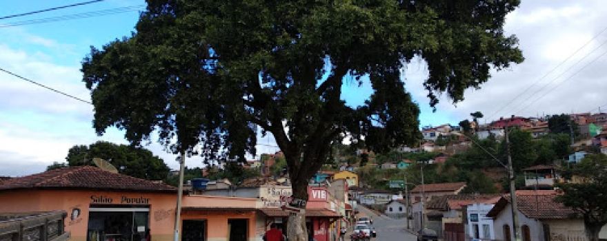 Árvore da Fundação da Cidade