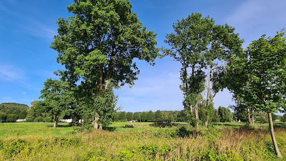 Spielplatz im Seepark Sellin