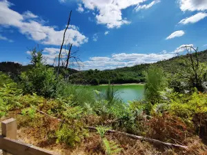 Ecopista Do Dão