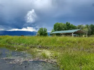 Goose Bay Marina & Campground