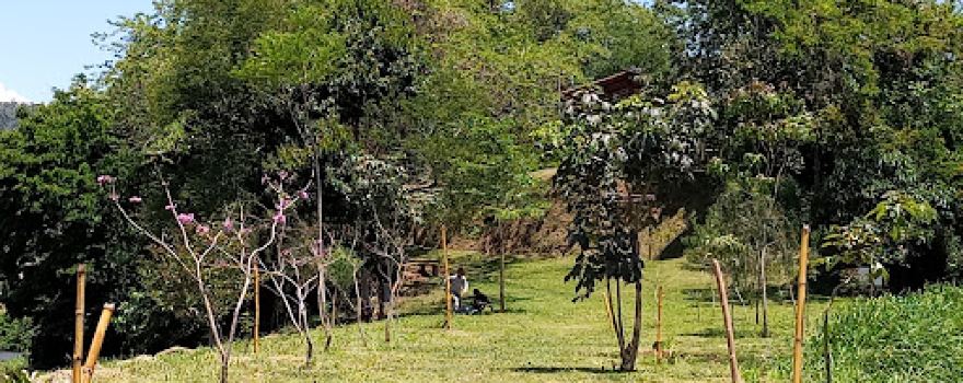 Parque Municipal Encontro das Águas