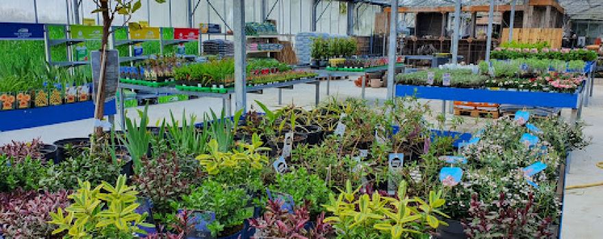 Tuincentrum Goes