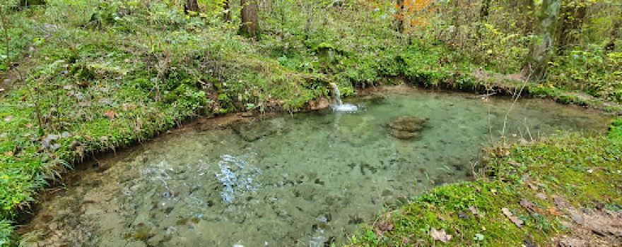 Tuffstein Rinnen-Unteriflingen