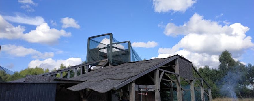 Paintball Arena