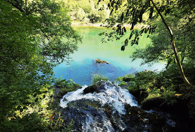 Wellspring Vrelo