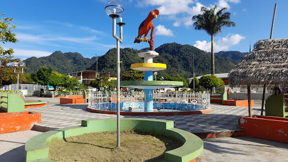 PARDO MIGUEL - NARANJOS