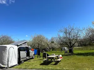 Ezelboerderijcamping La bistandille