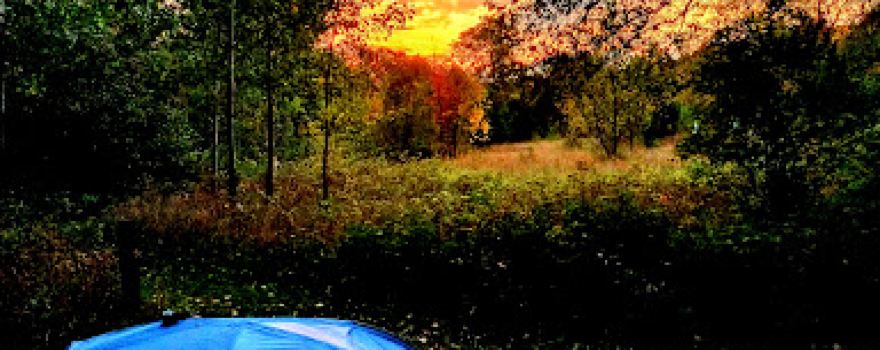 Pinney Bridge State Forest Campground