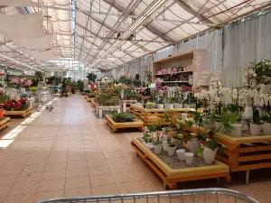 Dehner Garten-Center