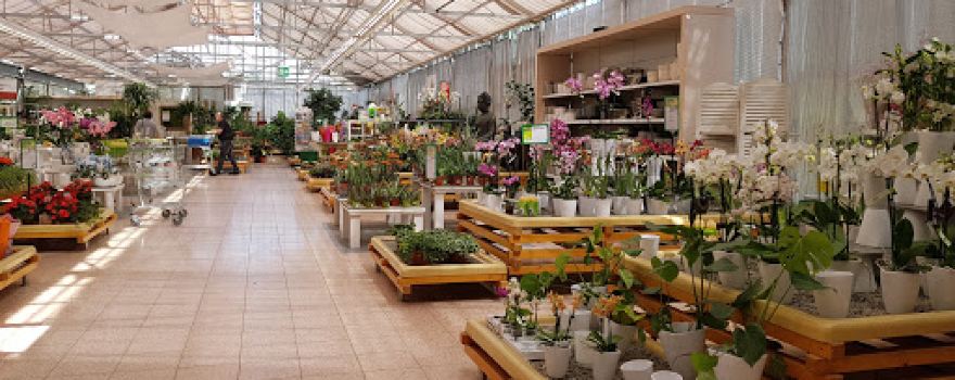 Dehner Garten-Center
