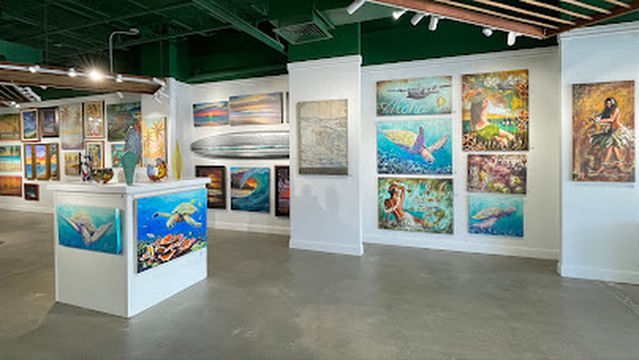 Aesthetic Hawaii Gallery Kailua