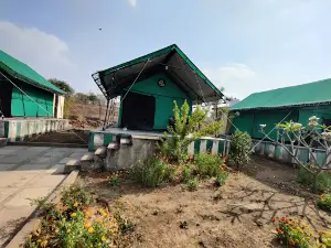 Madnapur Gate Tadoba (Buffer Zone)