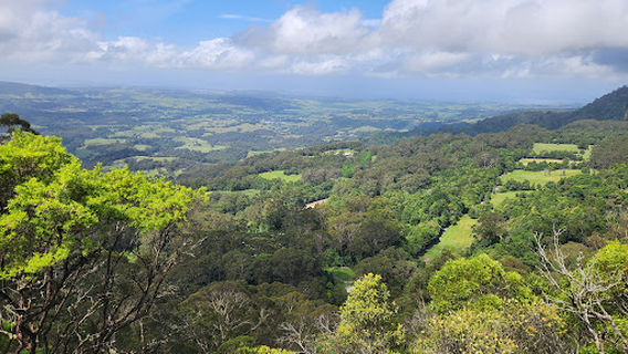 Barren Grounds Illawarra Lookout