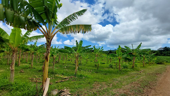 Visite Belfort Martinique