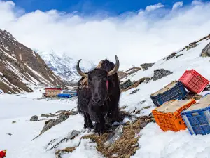 Gokyo Ri Trail