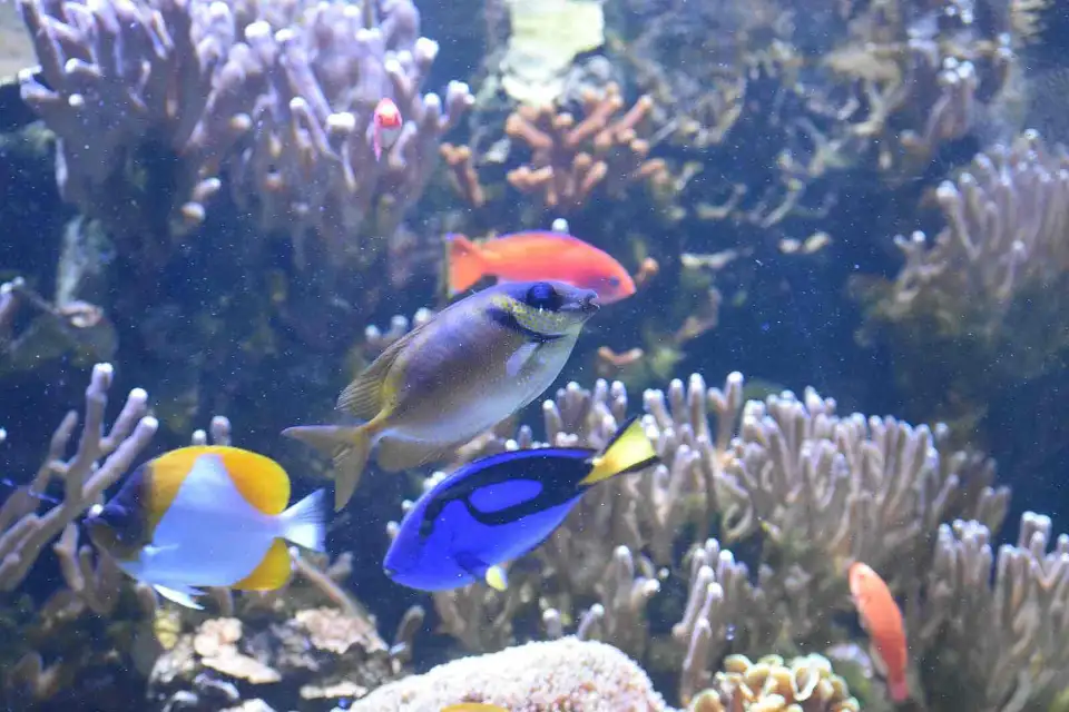 2_Aquarium de Paris